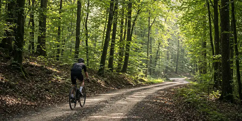 Cykeltur gennem Rold Skov med skift mellem skygge, bakker og lange stræk.